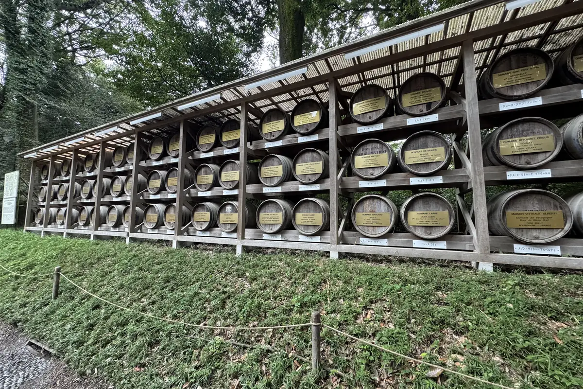 Botti di vino allineate su una scaffalatura di legno a lato del viale. Su ogni botte c'è un cartellino con il nome del produttore francese.